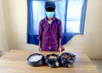 लागू औषधसहित एक भारतीय नागरिक पक्राउ