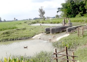 बारागढी गाउँपालिका : कृषि तथा पशु क्षेत्रमा परिवर्तन, आधुनिक तथा व्यावसायिक खेतीतर्फ कृषकहरु आकर्षित