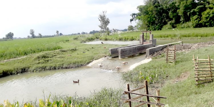 बारागढी गाउँपालिका : कृषि तथा पशु क्षेत्रमा परिवर्तन, आधुनिक तथा व्यावसायिक खेतीतर्फ कृषकहरु आकर्षित
