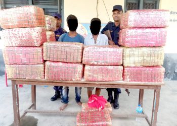 ठूलो परिमाणमा लागुऔषध गाँजा सहित दुईजना पक्राउ