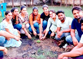 जन्मदिनको लागि रुखहरु