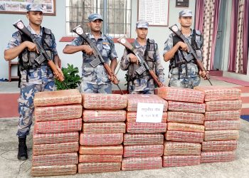 ठूलो परिमाणमा लागुऔषध गाँजा बरामद