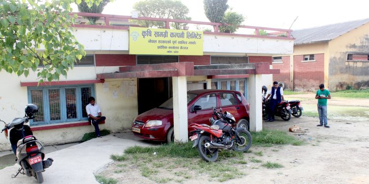 माग अनुसारको मल आयात नहुँदा वर्षेनी मल अभावको समस्या झेल्दै किसान