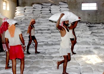 माग अनुसारको मल आयात नहुँदा वर्षेनी मल अभावको समस्या झेल्दै किसान