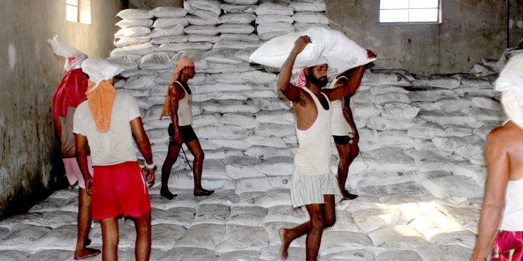 माग अनुसारको मल आयात नहुँदा वर्षेनी मल अभावको समस्या झेल्दै किसान