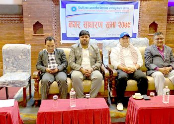 शिक्षालाई राजनीतिकरण नगरौँ : मेयर सिंह