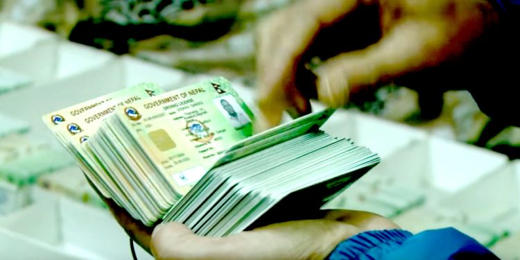 निलम्बनका लागि २५९ लाइसेन्स यातायात विभाग पठाइयो