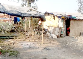 तराईमा बाक्लो हुस्सुसँगै शितलहरी बढेपछि जनजीवन कष्टकर, विपन्न परिवार विचल्लीमा