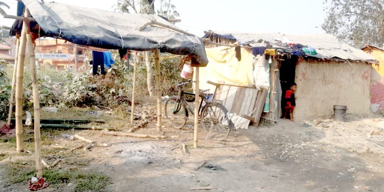 तराईमा बाक्लो हुस्सुसँगै शितलहरी बढेपछि जनजीवन कष्टकर, विपन्न परिवार विचल्लीमा