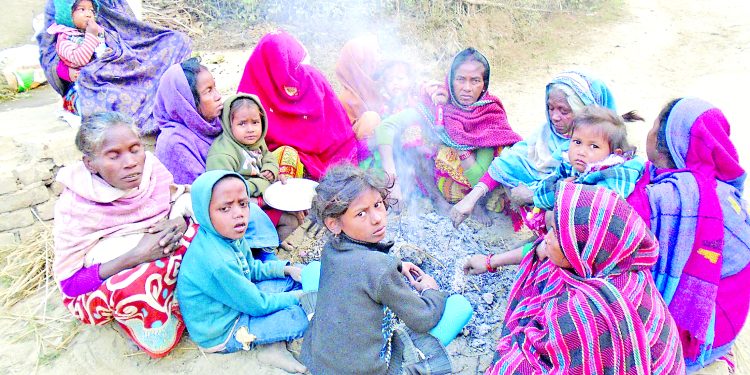 शीतलहर सहितको जाडोले जनजीवन कष्टकर