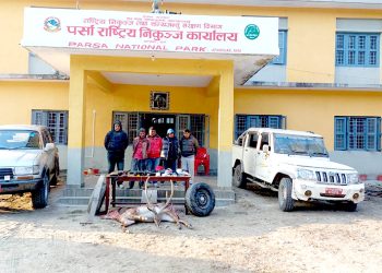 जरायो चोरी सिकारी प्रकरण : दुई प्रदेशसभा सदस्य सहित ४९ जना कसुरदार