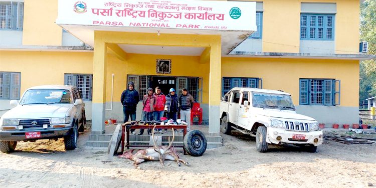 जरायो चोरी सिकारी प्रकरण : दुई प्रदेशसभा सदस्य सहित ४९ जना कसुरदार