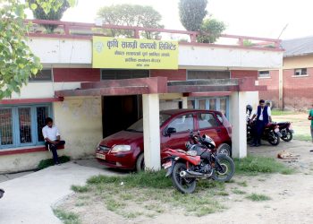 बाली लगाउने बेला मल छैन, सिजन सकेपछि सरकारले खरिद गरेको मल नेपाल आइपुग्यो