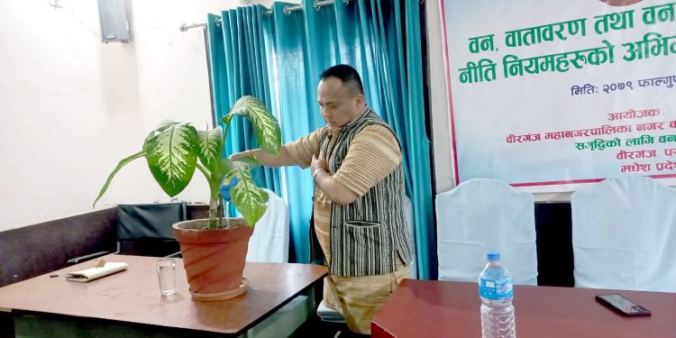 महानगर हराभरा र समृद्धिका लागि वन परियोजनाको अभिमुखिकरण