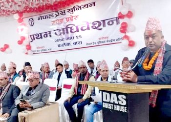 लोकतन्त्र बलियो हुन प्रेस बलियो हुनुपर्छ : महामन्त्री थापा