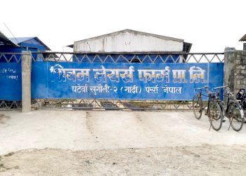 शिवम् लेयर्स फार्मको आतँक : दुर्गन्ध एवं झिँगाबाट ५ वटा वस्ती महामारीको उच्च जोखिममा