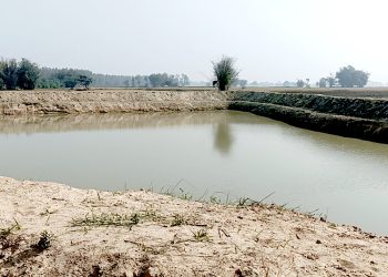बाली लगाउन दिइएको जग्गामा माटो उत्खनन गर्नेलाई कारबाही गरिने : गुठी संस्थान