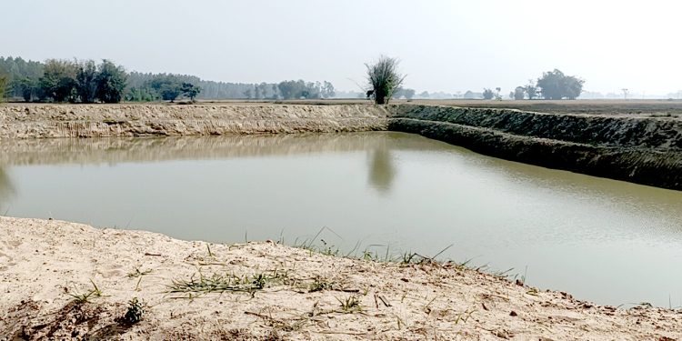बाली लगाउन दिइएको जग्गामा माटो उत्खनन गर्नेलाई कारबाही गरिने : गुठी संस्थान