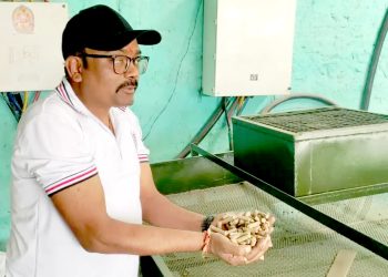 चुल्होबाटै मनग्य आम्दानी