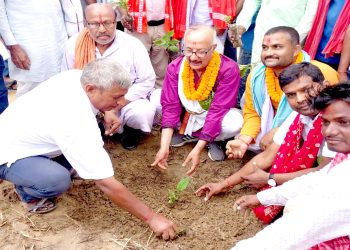 जगारनाथपुरमा ६ हजार विरुवा रोपियो