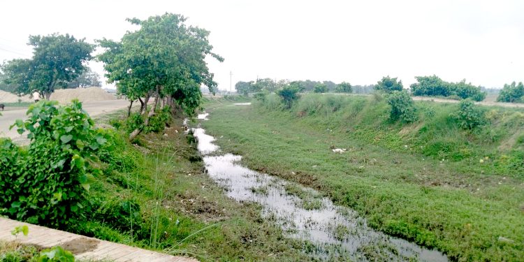 सुक्खा नहर, आकाशे पानीे पर्खदै किसान, पर्सामा ७.५३ प्रतिशत मात्रै धान रोपाई