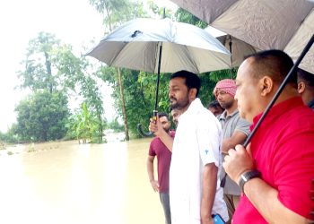 भेडाहा खोला डुबानको सांसद यादब र मेयर सिंहले गरे स्थलगत अवलोकन