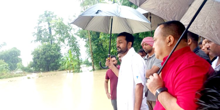 भेडाहा खोला डुबानको सांसद यादब र मेयर सिंहले गरे स्थलगत अवलोकन