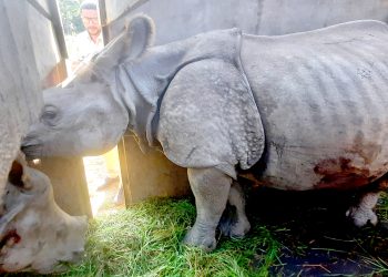 कोशी टप्पु पठाइए पुष्पा र अञ्जली