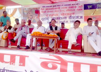हिन्दु धर्मको पहिचान समाप्त हुने अवस्था आयो : अध्यक्ष थापा