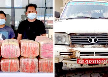 पिकअपमा लागूऔषध गाँजा बरामद, दुई जना पक्राउ