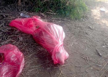 जगरनाथपुर स्थित खाेलामा अपरिचित महिलाकाे शव फेला