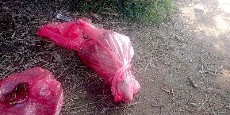 जगरनाथपुर स्थित खाेलामा अपरिचित महिलाकाे शव फेला