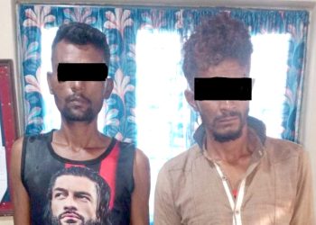 चाेरीमा संलग्न नगवाका शेख र पवन पक्राउ
