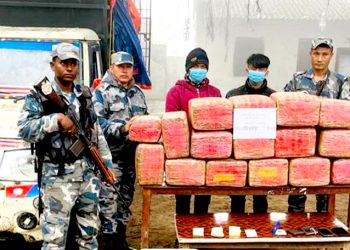 सशस्त्र प्रहरीद्वारा १६८ किलो गाँजा बरामद