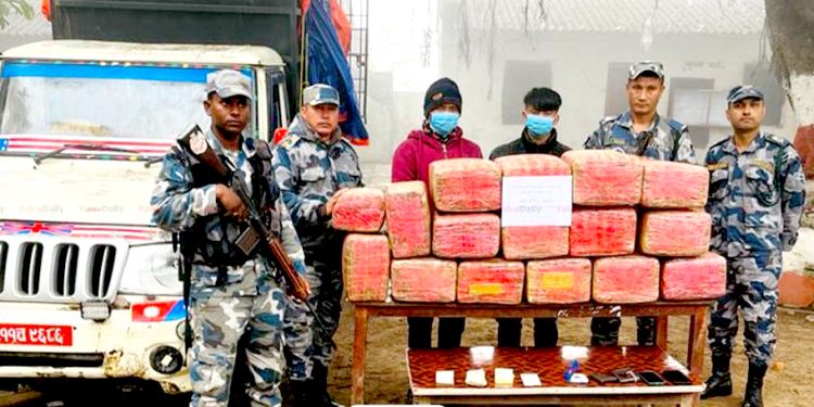 सशस्त्र प्रहरीद्वारा १६८ किलो गाँजा बरामद