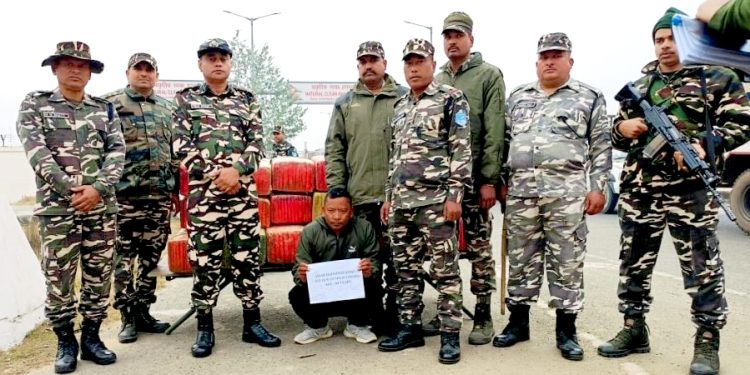आइसिपि हुँदै भारत पुर्याइएको ३ क्वीन्टल ७५ किलो गाँजासहित मकवानपुरका अम्बर पक्राउ