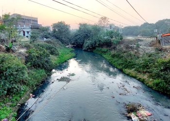 रोकिएन सिर्सिया नदीमा प्रदूषण, उद्योगको बद्मासी कायमै, पानीभन्दा बढि फोहोर, स्थानीय जोखिममा