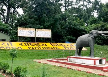 रैथाने हात्तीको प्रमुख बासस्थान ‘पर्सा राष्ट्रिय निकुञ्ज’ मा आन्तरिक तथा बाह्य पर्यटक आगमनमा वृद्धि
