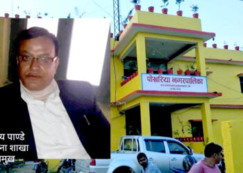 पाेखरियामा याेजना शाखा प्रमुख पाण्डेकाे हालीमुहाली, याेजना बिक्री रहस्य बाहिरियो