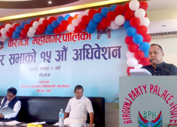 वीरगंज महानगरको नीति, ‘वैभव वीरगंज’को परिकल्पना साकार पारिने