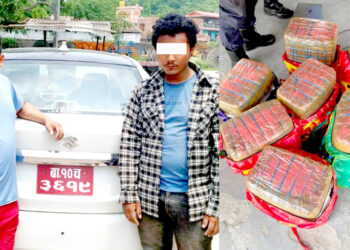 कारमा लागुऔषधको तस्करी, एक क्वीन्टल बढि गाँजा बरामद, संलग्न दुईजना पक्राउ