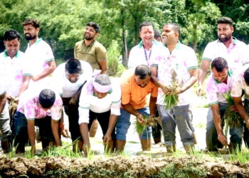 जगरनाथपुरमा धान राेपेर मनाइयाे धान दिवस