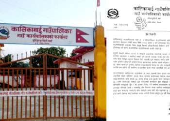 पशु उपशाखा संचालन रहेकाे भवन भत्काउँदा २० लाखकाे क्षति, गाउँपालिकाकाे आपत्ति