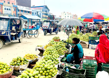 व्यवस्थित बजार नहुँदा सिरहाको सडकमै आँप किनबेच