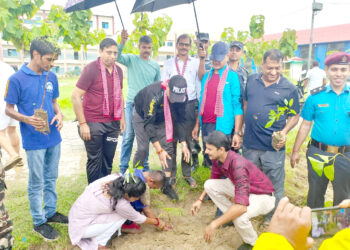 ग्रिनसिटीद्वारा वृक्षारोपण कार्यक्रम सम्पन्न