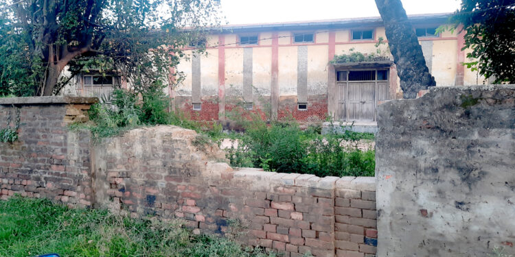 कृषि सामाग्री कम्पनीको भुटनदेवी स्थित गोदामबाट मल चोरी गर्दागर्दै दुई युवक पक्राउ