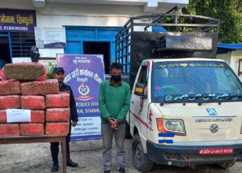 सिन्धुलीबाट १८९ किलो गाँजासहित १ जना पक्राउ