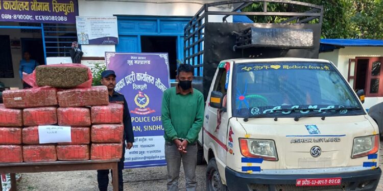 सिन्धुलीबाट १८९ किलो गाँजासहित १ जना पक्राउ