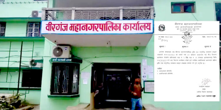 किसानलाई ५०% अनुदानमा गहुँको बीउ वितरण
