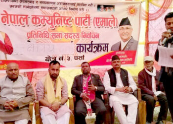 नेकपा एमालेको क्षेत्रीय समन्वय कमिटि बैठक